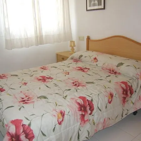 Noria 305