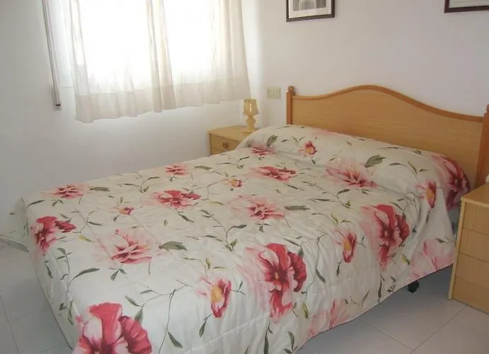 Noria 305